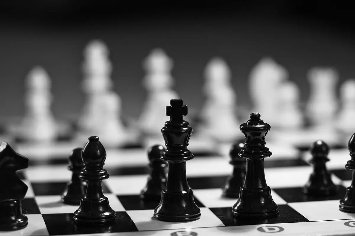 A Beginner's Guide to Rook Watching: Equipment, Timing and Etiquette
